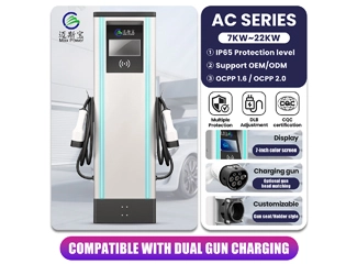 ACP Dual Gun Charging Station